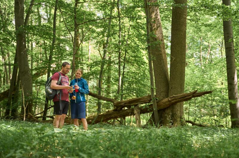 Wanderpaar im Nationalpark Hainich