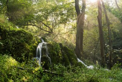 Wasserfall im Elfengrund mitten im Wald nahe Wanfried