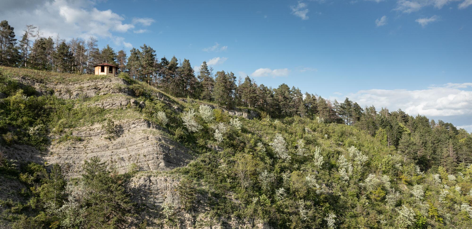 Blick auf die Adolfsburg, eine Schutzhütte auf leicht bewaldetem Felsen bei Treffurt.